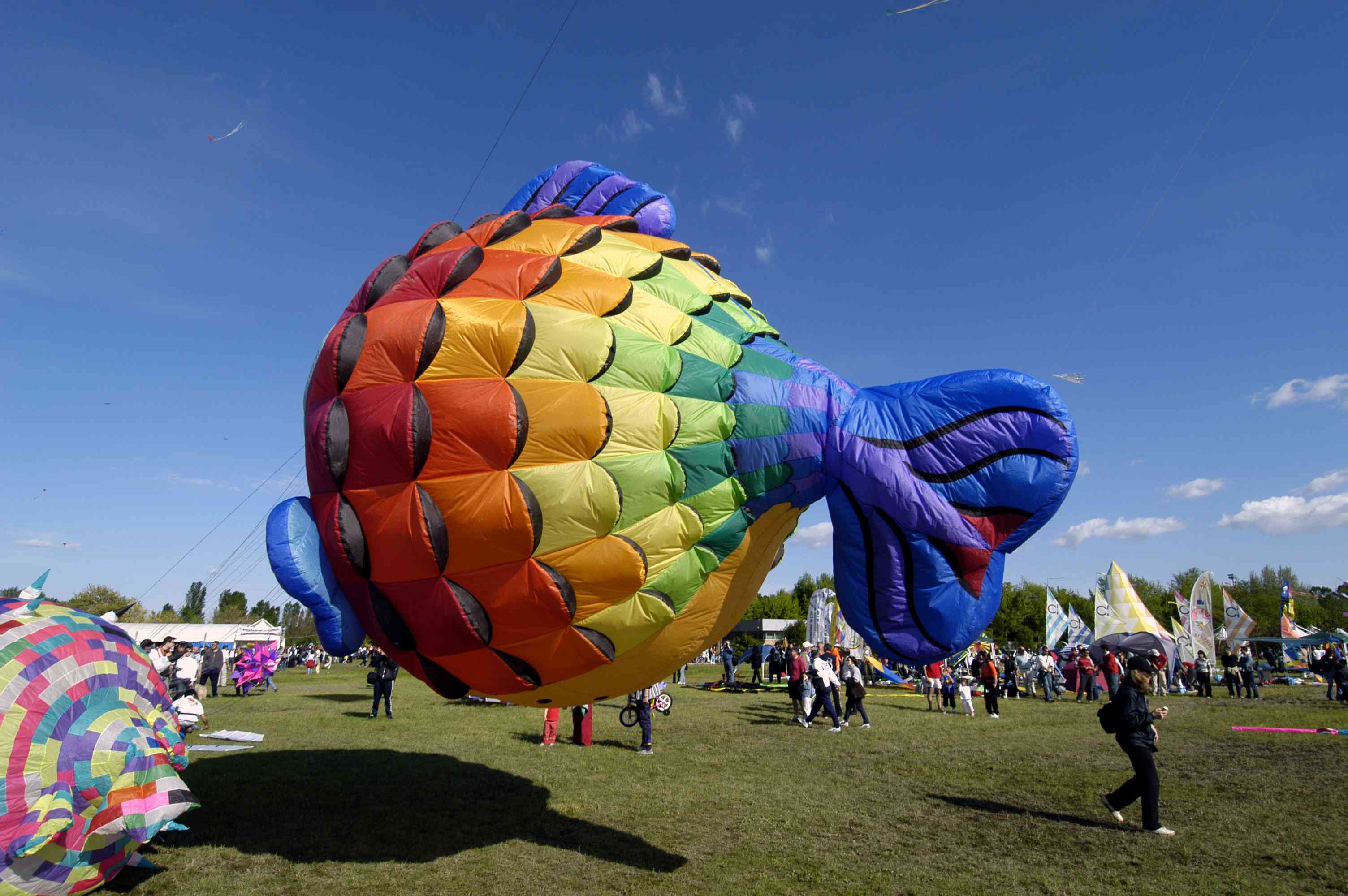 Vulandra – Festival Internazionale degli Aquiloni 2015