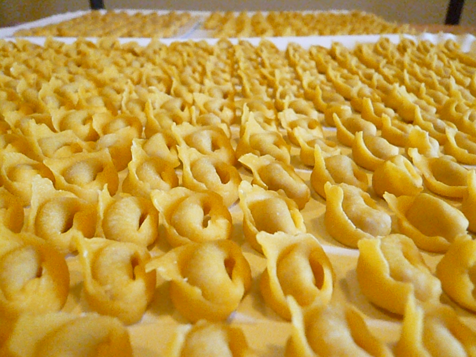 Sua maestà: il tortellino!