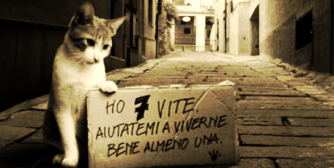 Una cena per aiutare il Gattile
