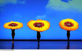 A Carpi arrivano i Momix