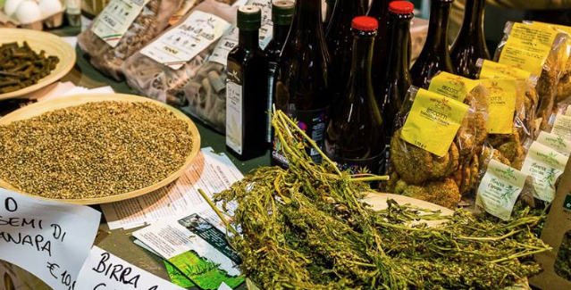 BOLOGNA: ALL’UNIPOL ARENA IL FESTIVAL… DELLA CANAPA!