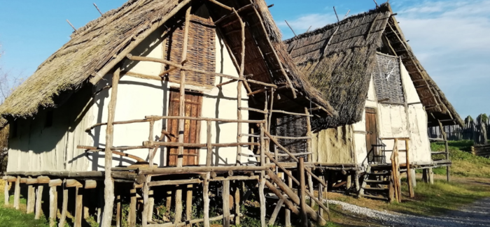 MONTALE: UN CORSO AL PARCO DELLA TERRAMARA