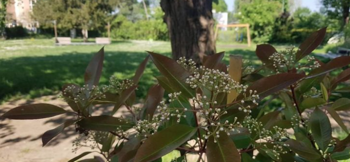 BOLOGNA: AL PILASTRO C’E’ UN PARCO “SPECIALE”