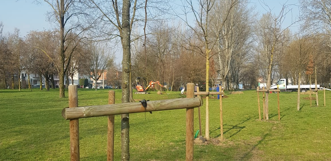 CARPI: NUOVI ALBERI AL PARCO “BERLINGUER”