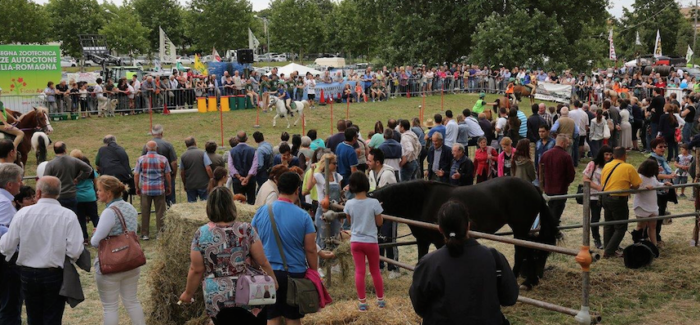 IMOLA: RINVIATA LA “FIERA AGRICOLA DEL SANTERNO”
