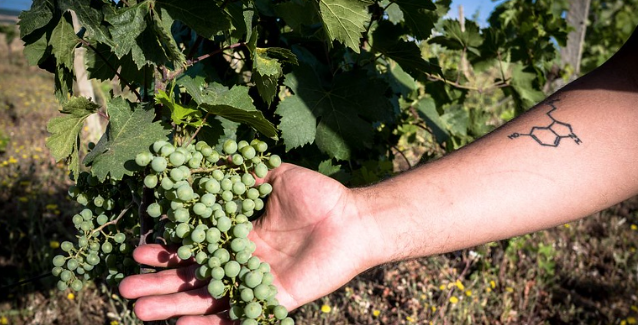 BOLOGNA: ALLE FIERE LE “MASTERCLASS” DEL GUSTO